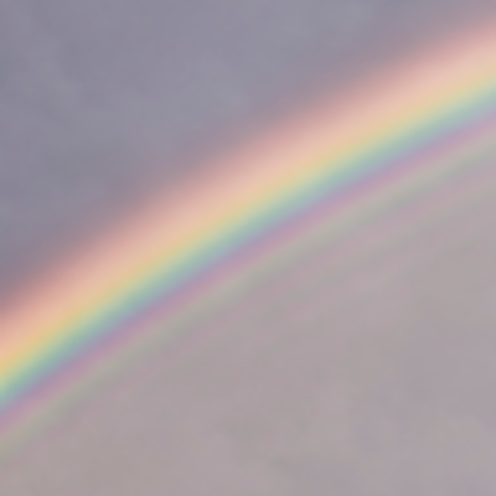 Meet your Posher, Rae